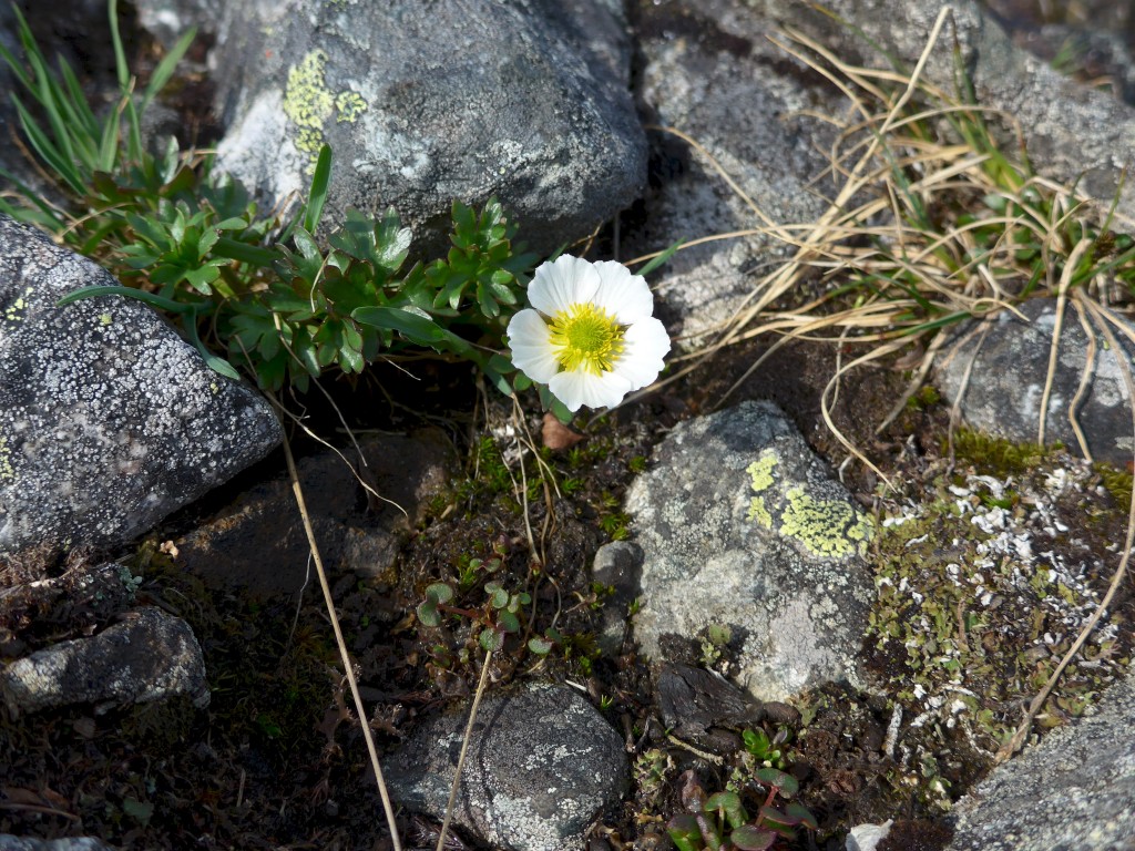 P1000648