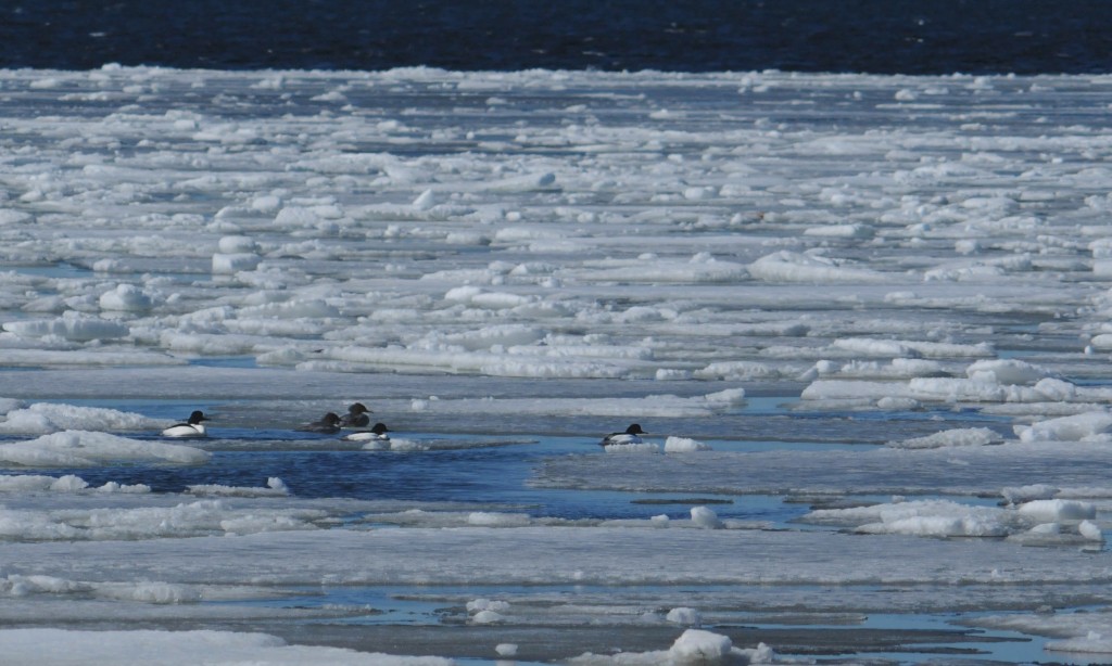 7bf4dd3a-68e2-43ad-a637-705e944a6ba3