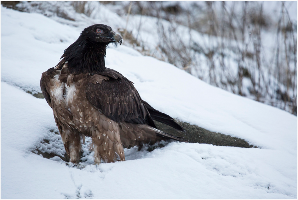 2015-01-30 15_30_18-Korkeasaari