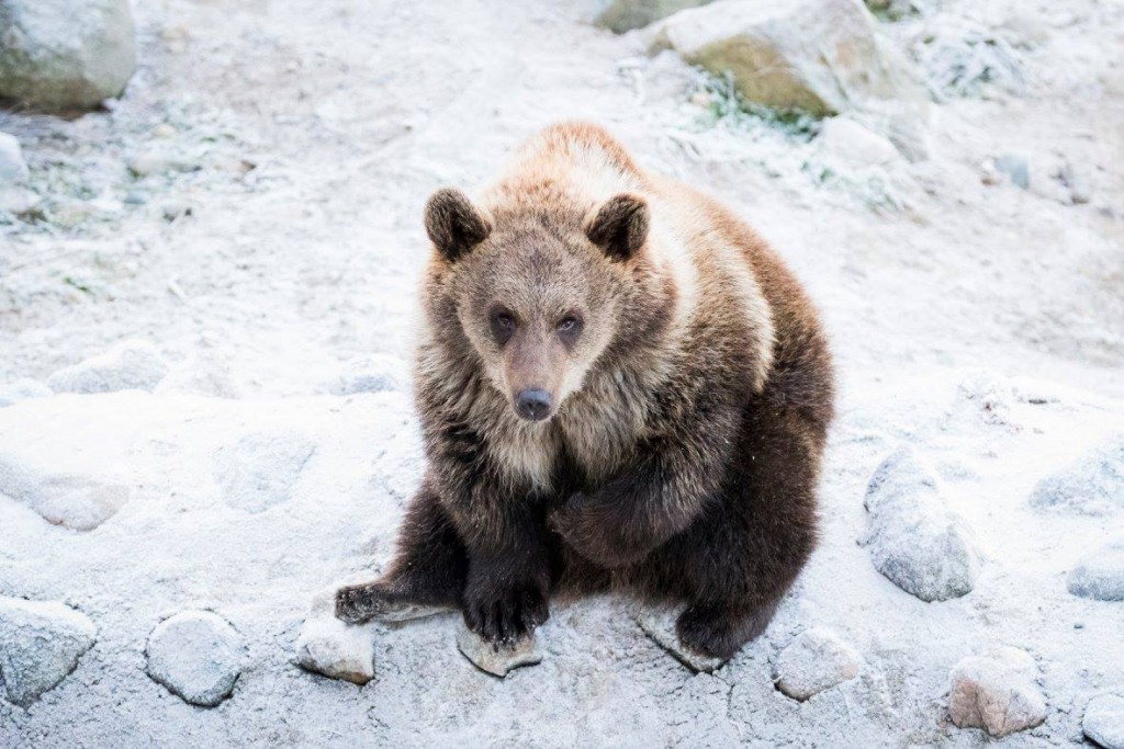 1960964_821326364590738_343224668565994025_o