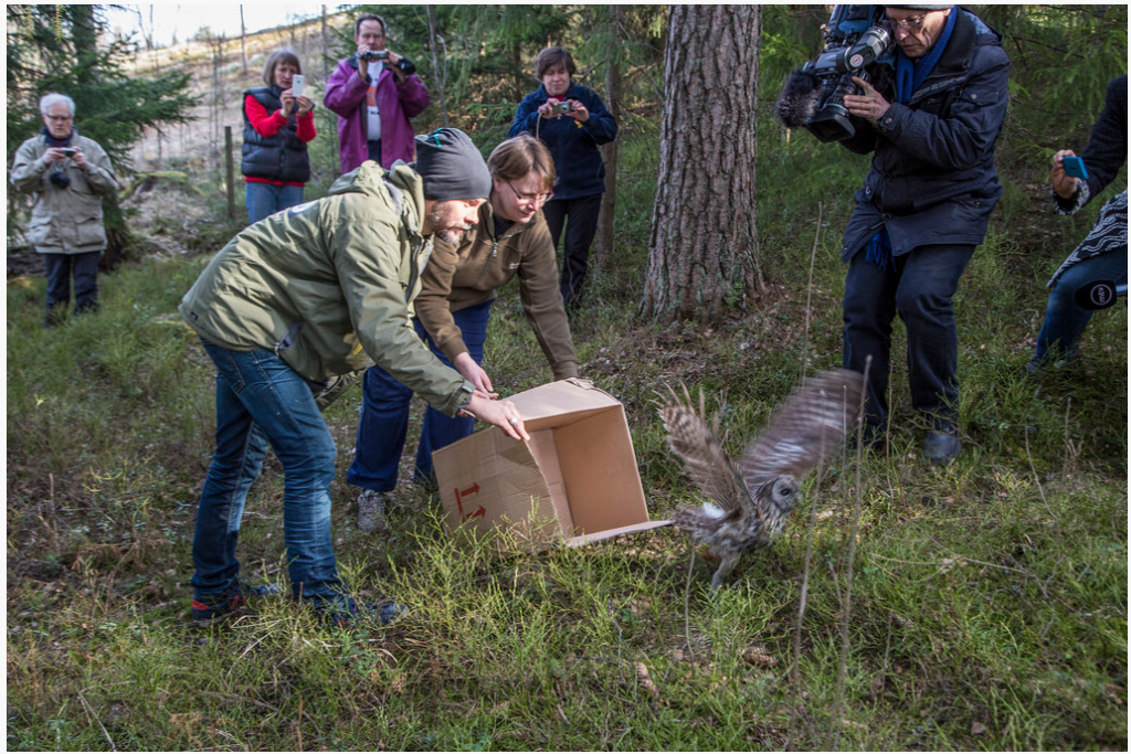 2015-04-10 15_52_28-Korkeasaari