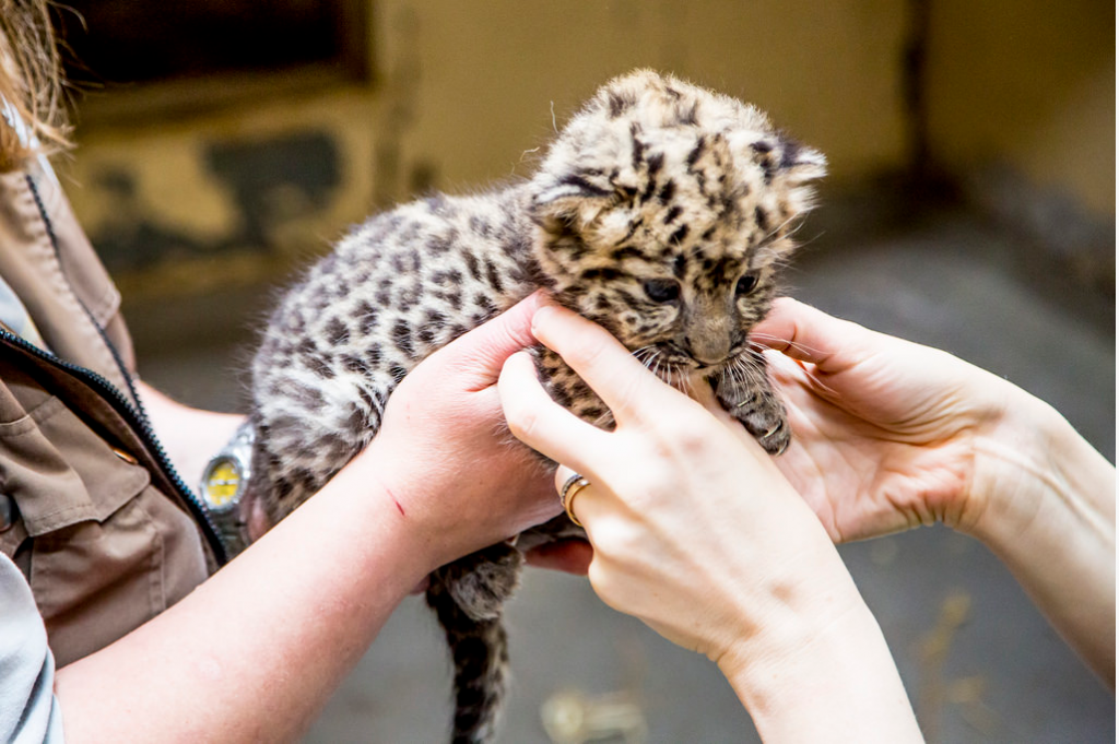 2015-06-29 13_43_16-Korkeasaari