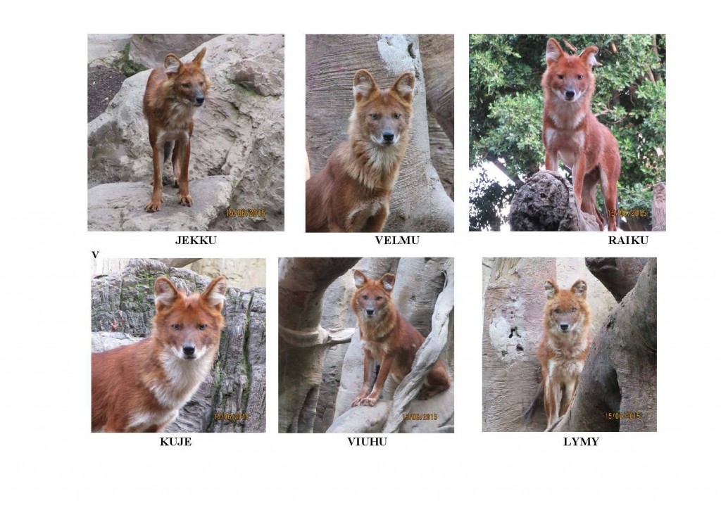 11053276_978090462247660_6272067447050066191_o