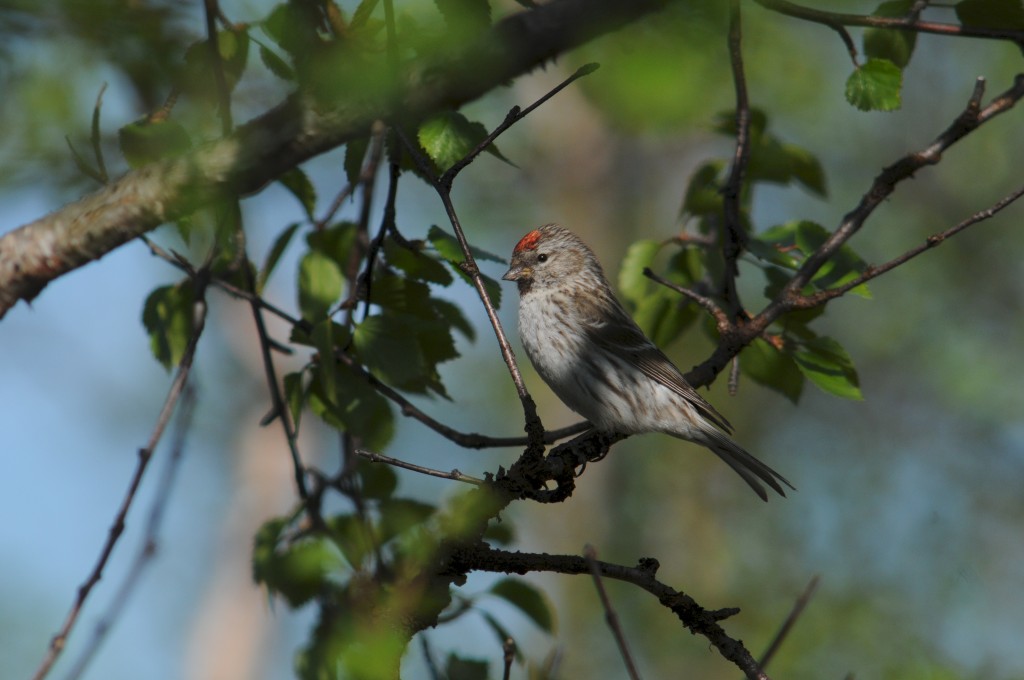 6c8eb198-8492-4071-99cd-6880fc9e614d