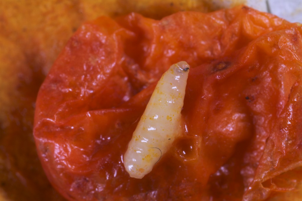 9b828b27-28c9-4f9a-a96e-6fc2a936a33e