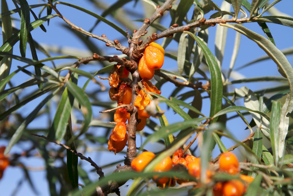 dd7fe1c5-d7da-425c-8aff-4840042acd6c