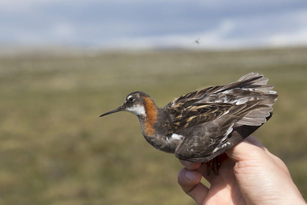 661d42c2-1df1-4dd1-b592-29132085c593