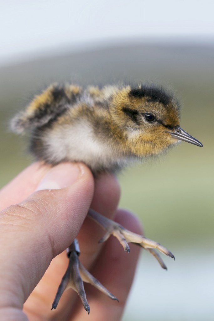 e1ef6b20-6d6b-4c32-b3fd-6c3378a708c4