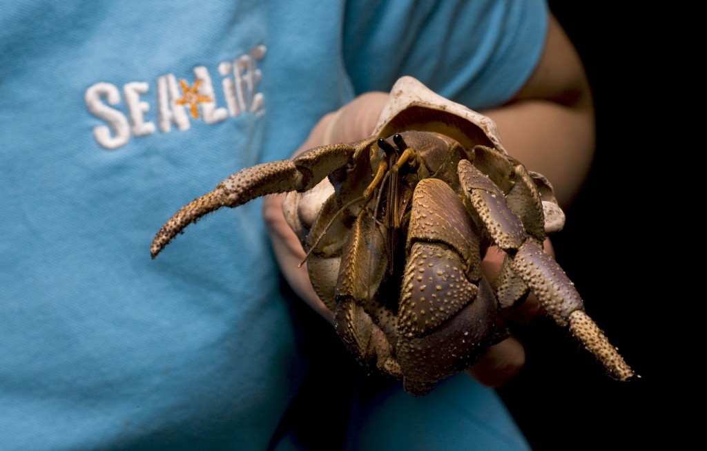 8bfb8db6-1eb5-4842-98c3-96ce4f1f9913