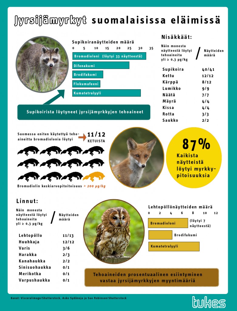 jyrsijamyrkkytutkimus_graafi_10032016
