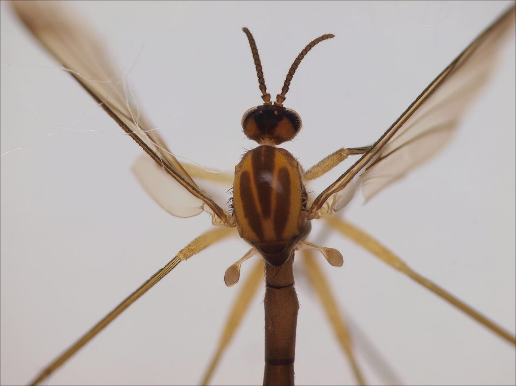 Kuvaaja: Jukka Salmela