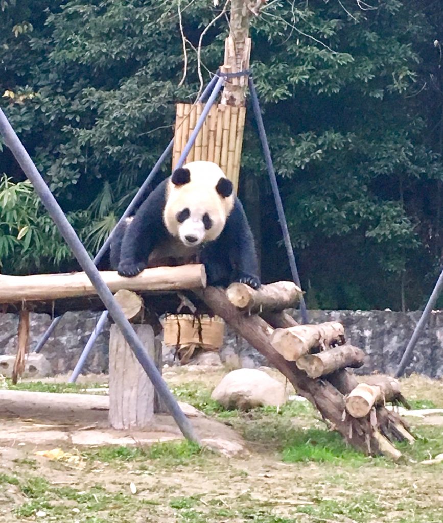 a16949e1-439e-4bec-8b4d-7e08d5664a65