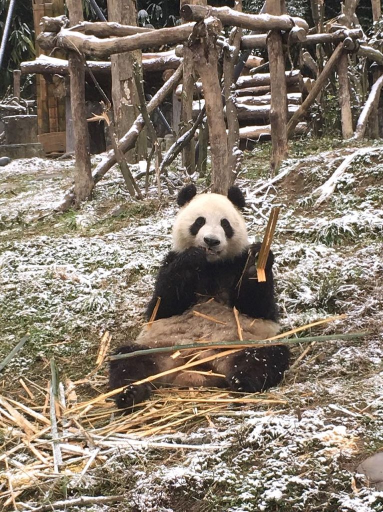 beece8e6-6ff8-4cd2-aba7-9d19f7cdb1cd-w_960