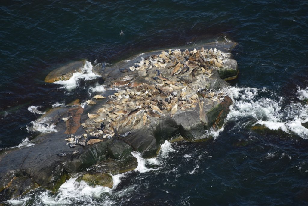 Valokuva-medialle-mervi-kunnasranta-luke