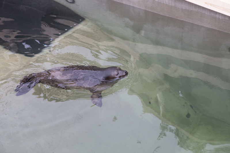 49467391741_27d10d0486_c