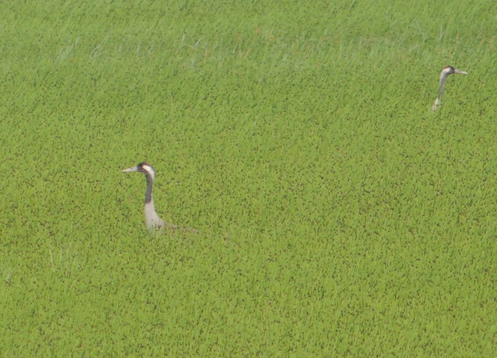 0b17f5d3-29fb-47ac-9894-1a6b2bfc76df