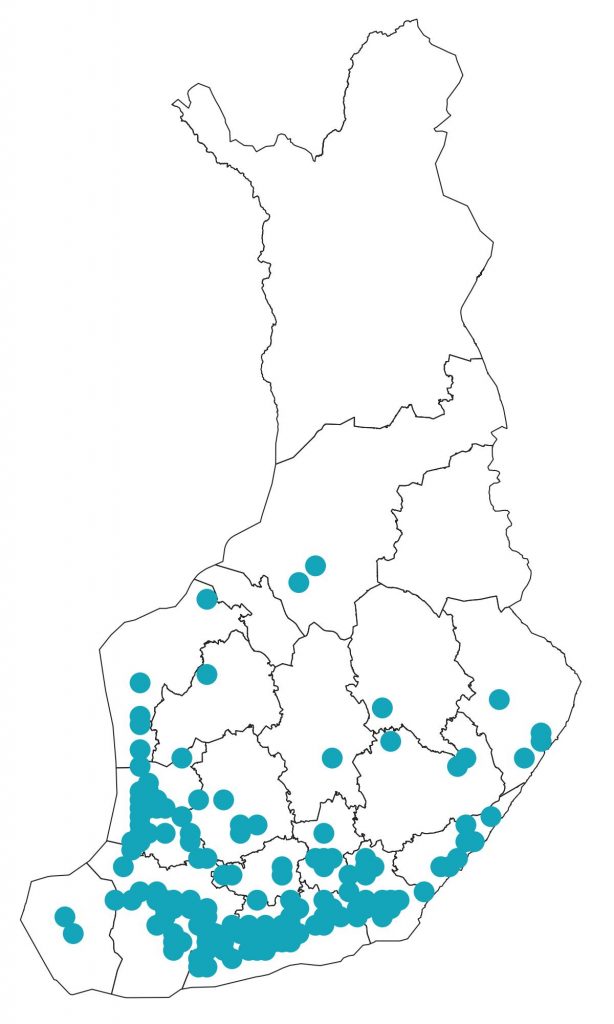 kuningaskalastaja-syksy2020