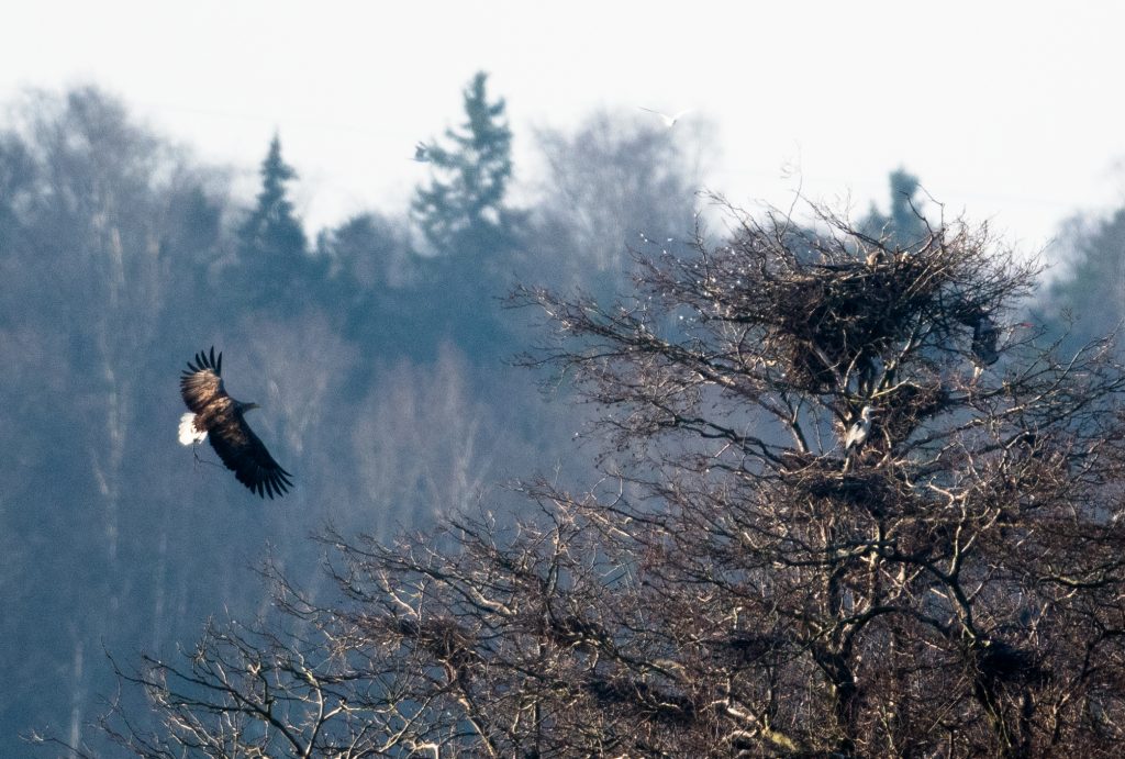 51a4d186-933d-4aa1-aa72-96048fd304a0